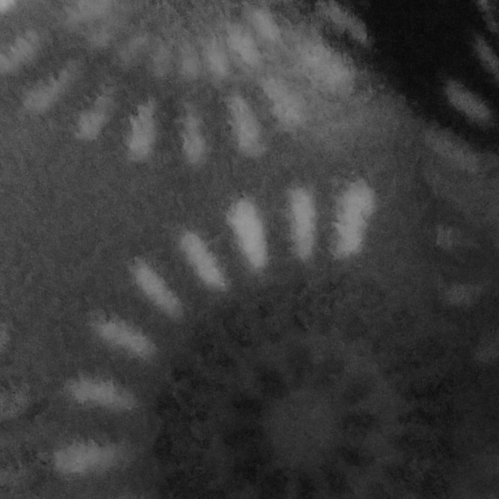 Under Armor Duffle Bag for Kasey